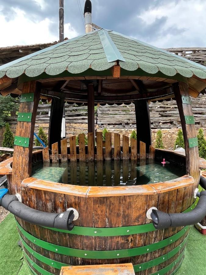 Vila Milica & Spa Aleksandra Ντιμίτροβγκραντ Εξωτερικό φωτογραφία